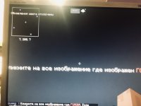 IMG_6549.jpeg